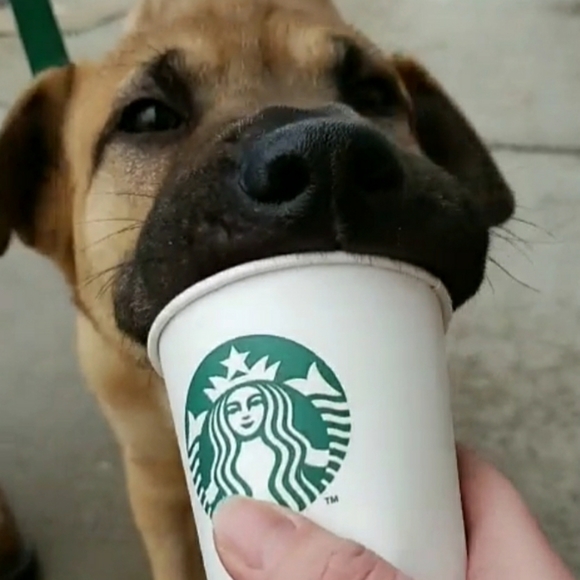 Welcome to my closet! - Picture 7 of 16